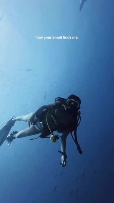 Naked 100th Dive - IG May 2026