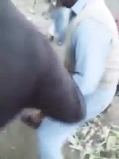 reuploading since the previous post got removed