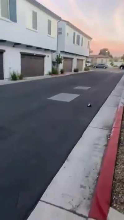 Trusting your brother with a remote-control car