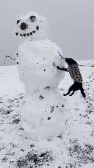 InnOCenT MaN geTS HIs aRm rIppeD off bY rABid DOg WhIle siCko BystaNDers lauGH aBOUt IT