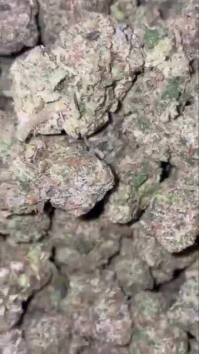 The strain is Motorbreath should I buy?