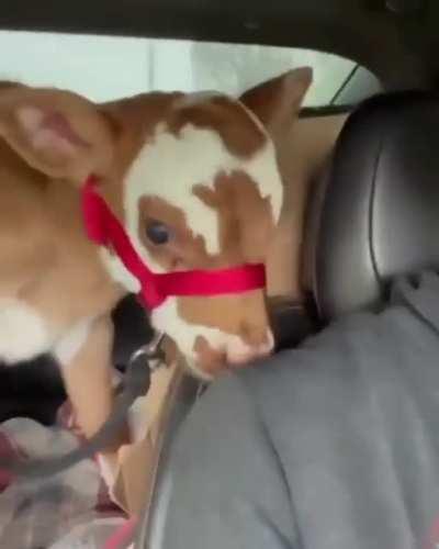 She’s definitely a cutie 🥰