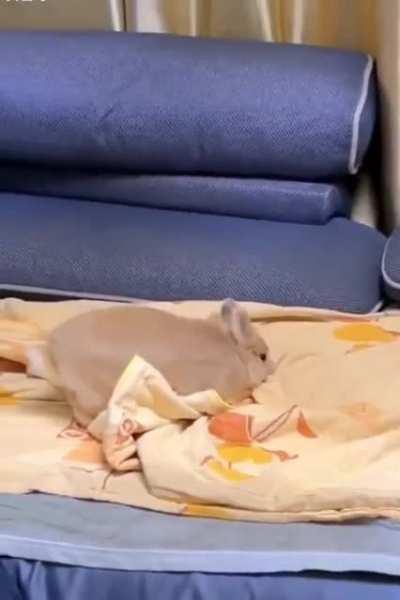 OK, I'll tuck myself in