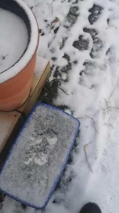 Ist ein bisschen her das bei mir Schnee lag. Muss ich mich wohl wieder dran gewöhnen.