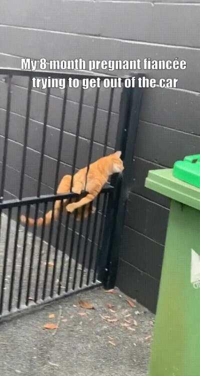 My fiancé spend the whole morning making this gif and he is so proud 😂