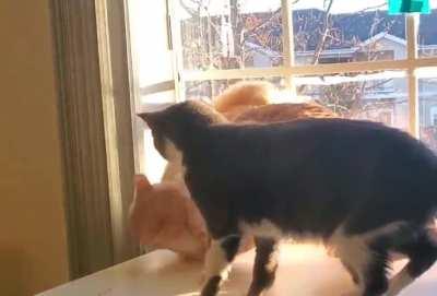 Let me just bite my brother real quick