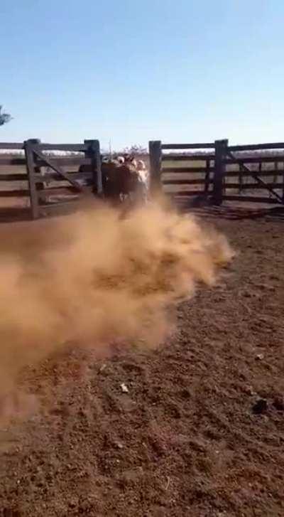 dj henrique comprou uma moto