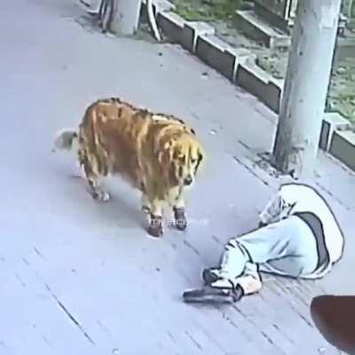 HMFT after I receive an orbital CAT strike