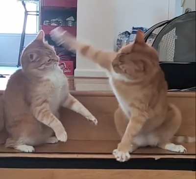 Brotherly Love