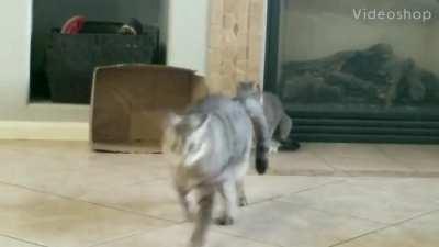 Bernie sensed he wasn't alone....