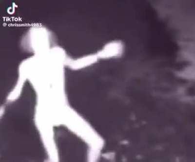 Why does IT WALK LIKE THAT