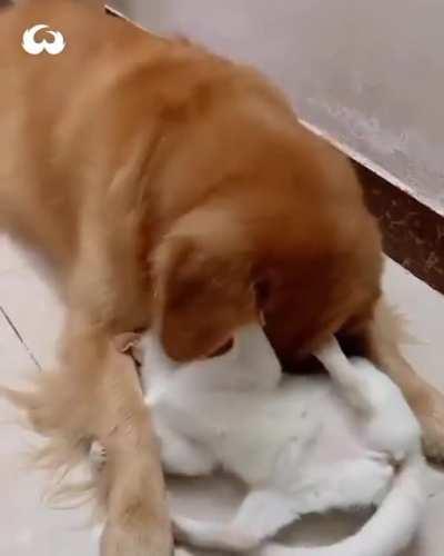 Having the other's back.