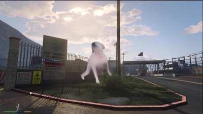 Cringe ass marines just let me dance 🤬🤬🤬😡😡😡🤪🤬🤪🤪🤪🤪😡