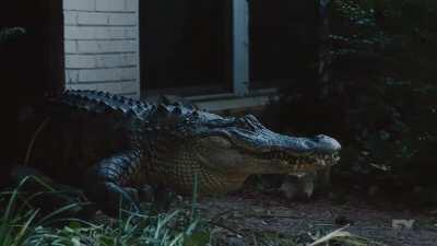 an iconic scene, made better