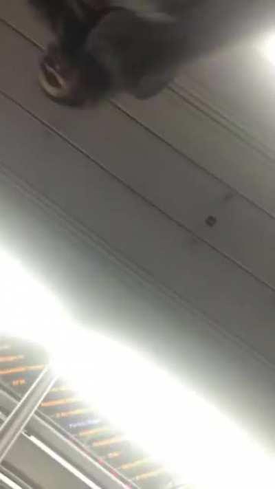 equal rights equal fights