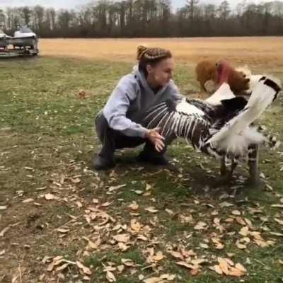 This turkey giving a hug to their friend.