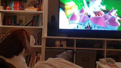 My beagle was very interested in the ending of Super Mario Galaxy on Switch