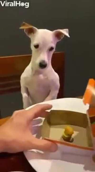 А вот твой 🍔