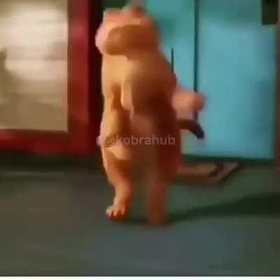 Can someone translate please?