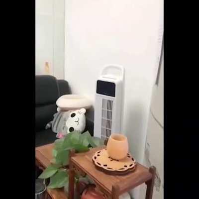 A 957-foot skyscraper mysteriously wobbles, sending people fleeing in the streets. (Shenzhen, China, May 18, 2021)