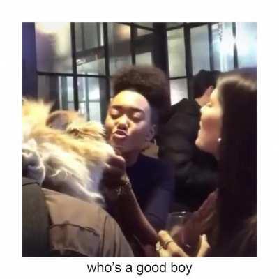 This dog is what happens to you, while you’re busy making other plans