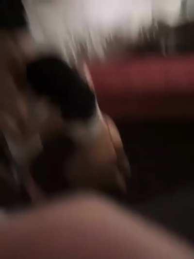 if a guy buys me dinner, I always make sure to thank them with a blowjob (: