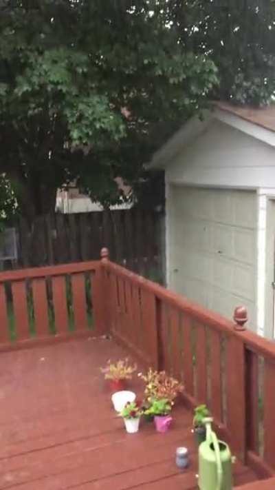 Raining here in Peterborough, Ontario