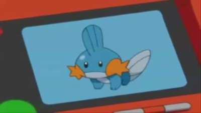 the mudkip rap