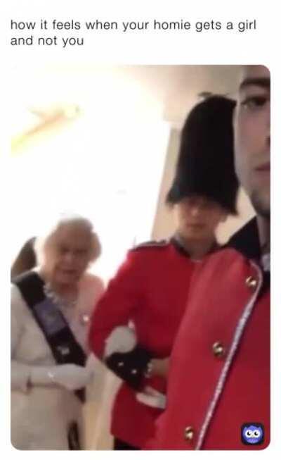 hide the pain harold