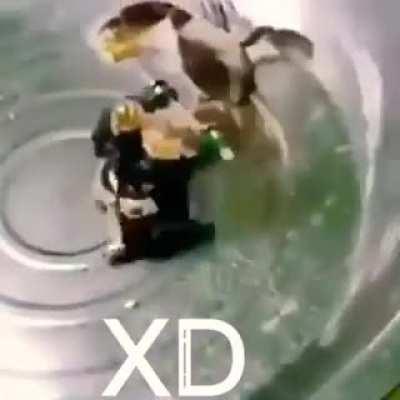 New trailer in coming