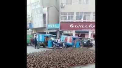 Not rule, I made this to post here