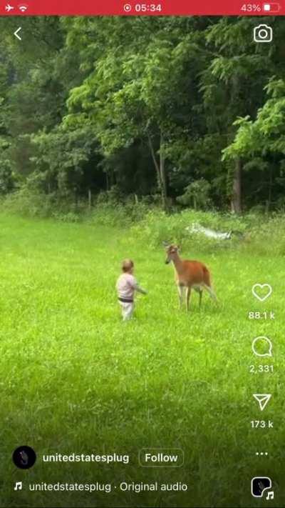 To play with a deer