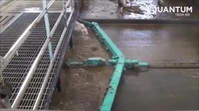 Thanks, I hate chocolate