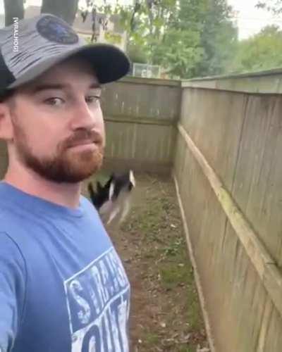 Dogs broken, thinks it’s a cat