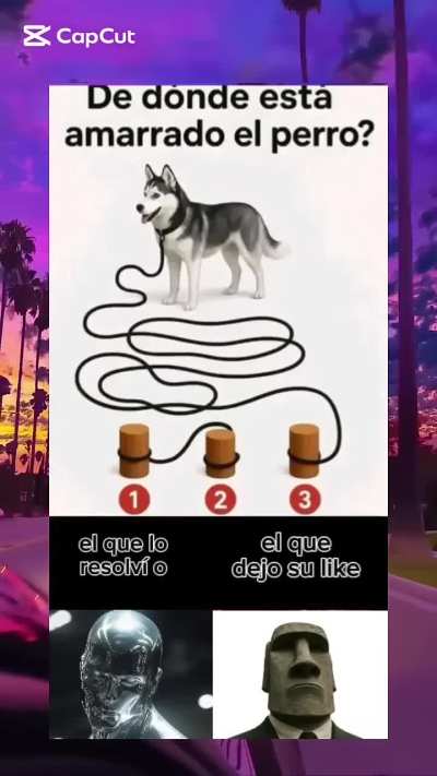 de donde está amarrado el perro?