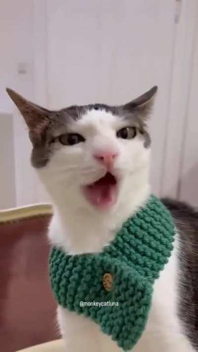 The snackening : A dump