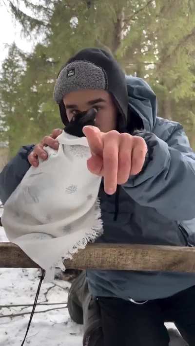 This is the cutest thing i have ever seen!!