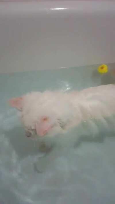 Every time I pour water into the bath and when I come back - I see a similar picture