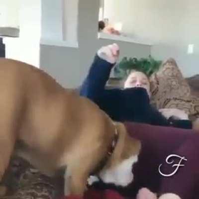 Should've thought twice about where he smelled