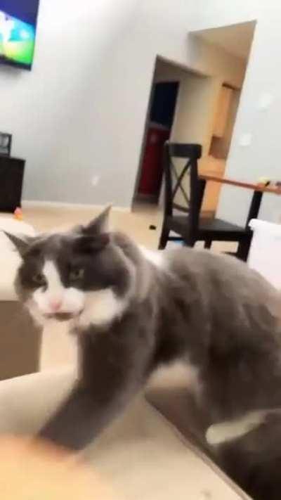 dont you dare point that finger at me 😂😂😂😍😍