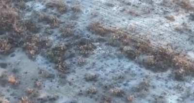 Another 'Human wave' style attack near Bakhmut - Infantry with no armor support - ends in large amounts of Russian KIA