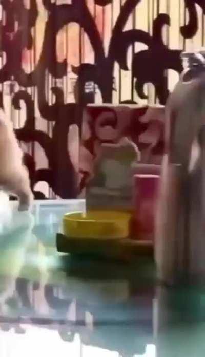 My pupper people need me