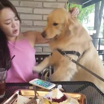 Classic misdirection