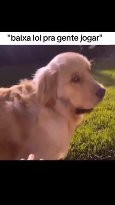 Pq LOL é tão zoado ??