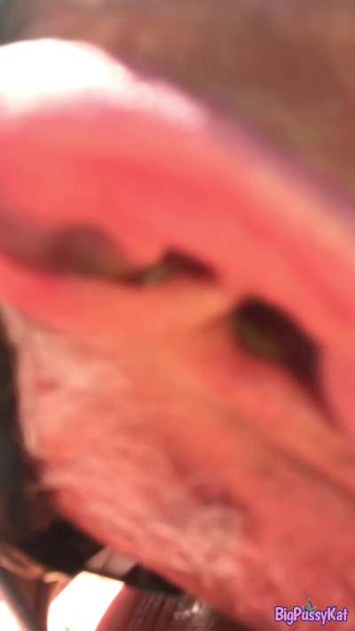 Kat sits Hustler Style with her juGGs laying on her belly while peeing into the pool.