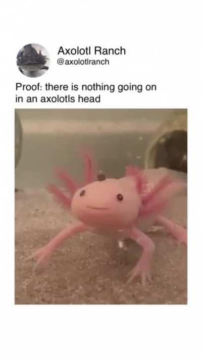 He is trying his best