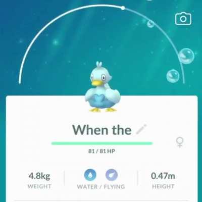 What do you do with 238 Ducklett? This of course.