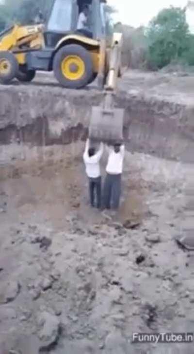 What did they expect