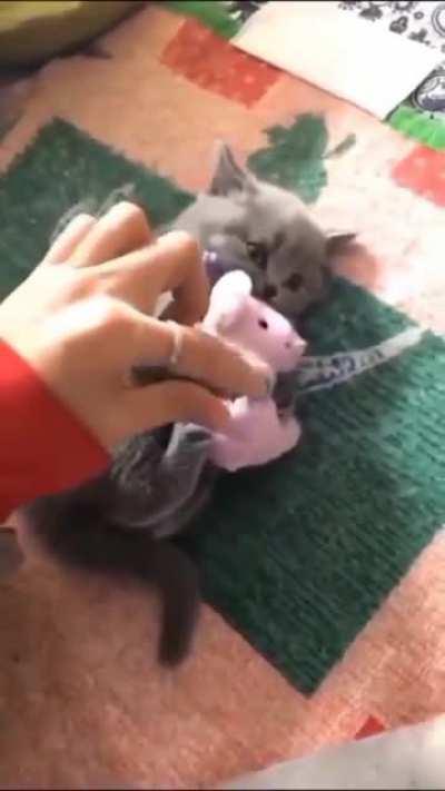 Don't touch my teddy bear!