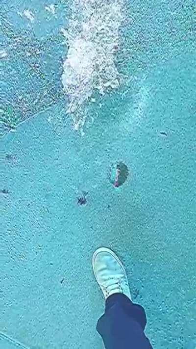 Ah yes the satisfaction of no grasp on reality